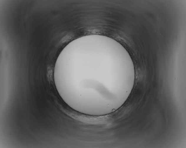 X0000086900036200704160956