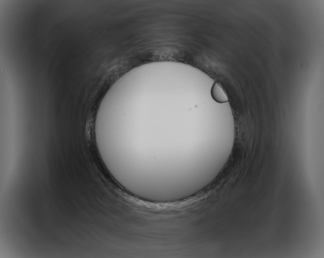 X0000086900038200704160956