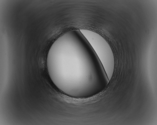 X0000086900039200704160956