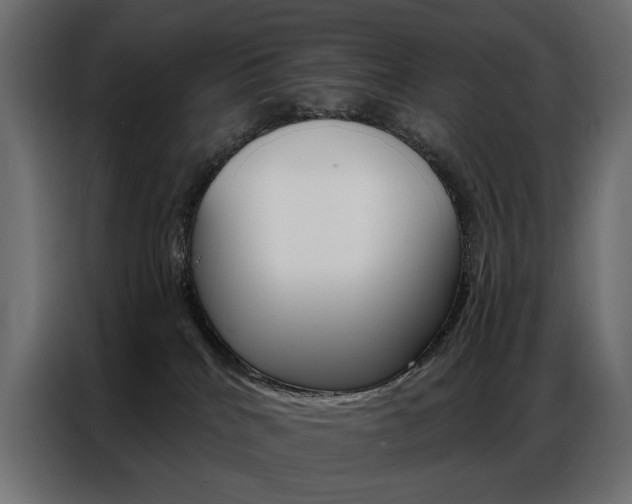X0000086900040200704160956