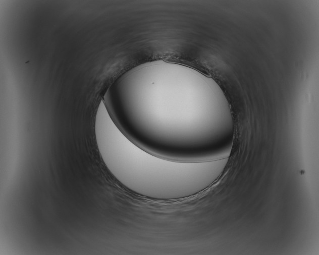 X0000086900041200704160956