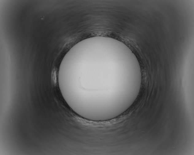 X0000086900042200704160956