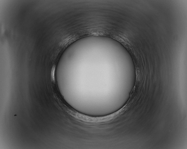 X0000086900047200704160956