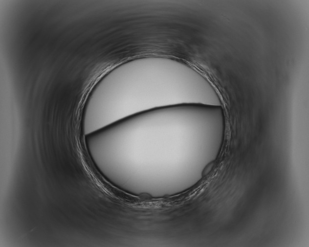 X0000086900049200704160956