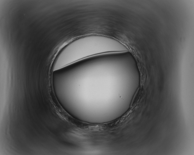 X0000086900050200704160956