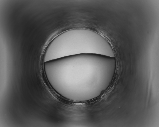 X0000086900053200704160956