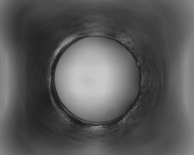 X0000086900054200704160956