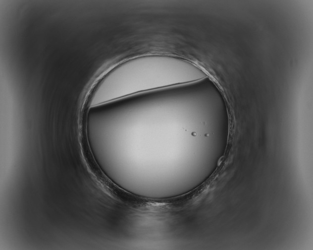 X0000086900055200704160956