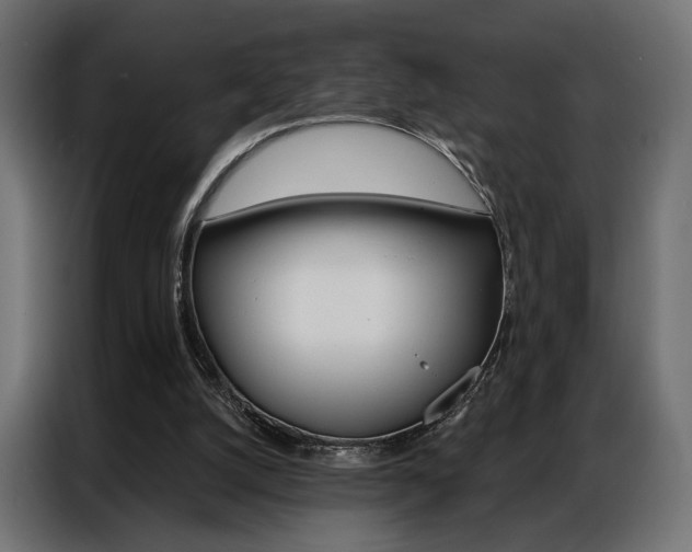 X0000086900056200704160956