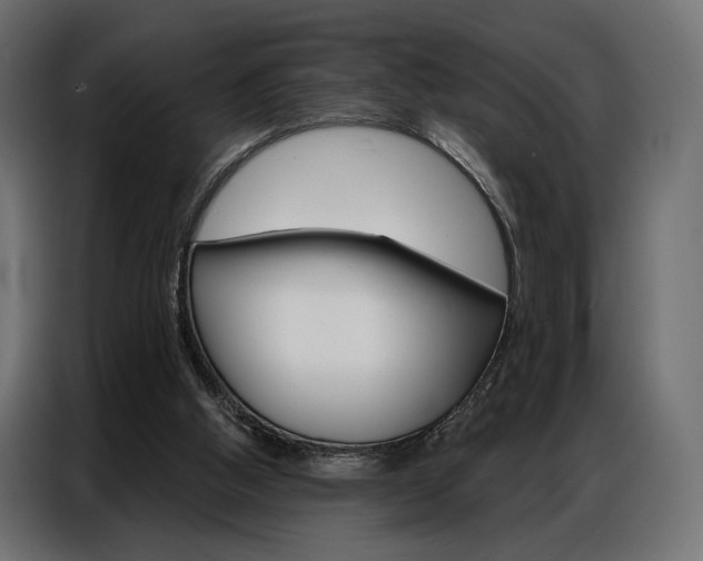 X0000086900058200704160956