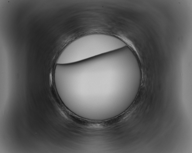 X0000086900061200704160956