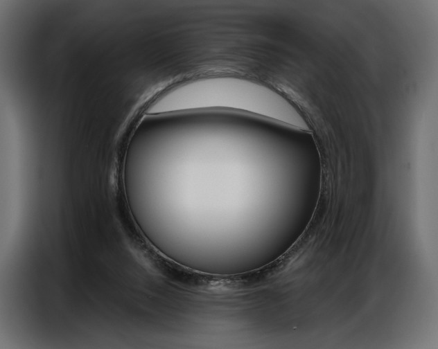 X0000086900064200704160956