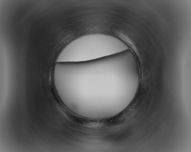 X0000086900065200704160956