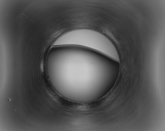 X0000086900068200704160956