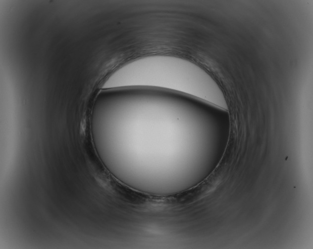 X0000086900072200704160956