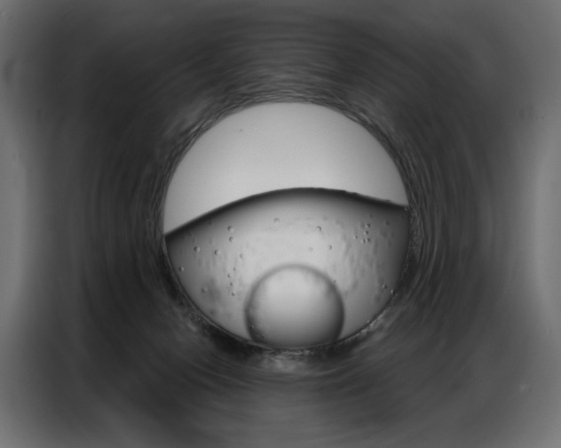 X0000086900078200704160956