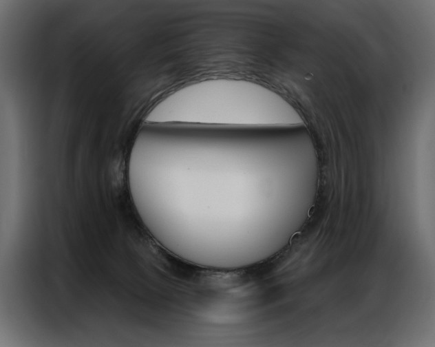 X0000086900081200704160956