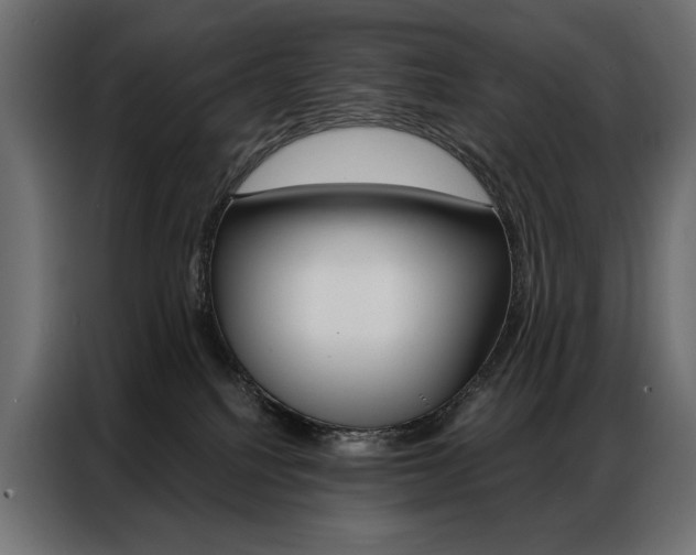 X0000086900088200704160956