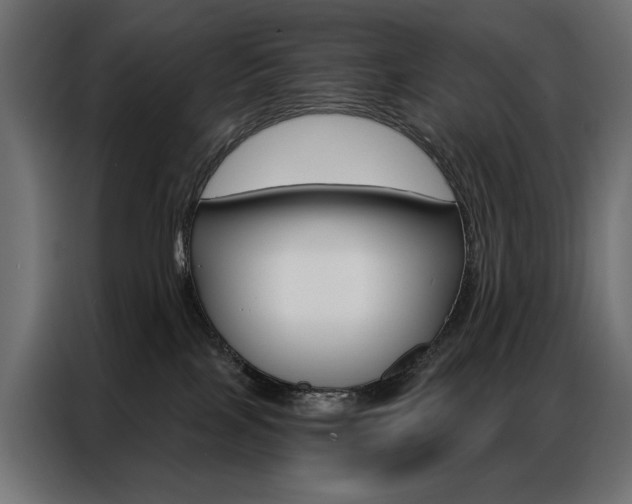 X0000086900089200704160956