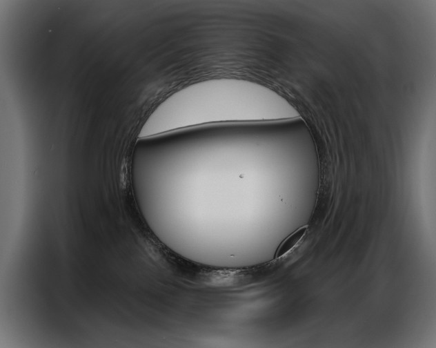 X0000086900090200704160956