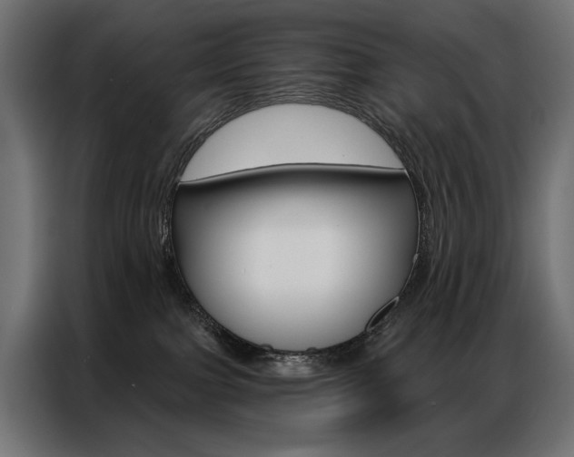 X0000086900091200704160956