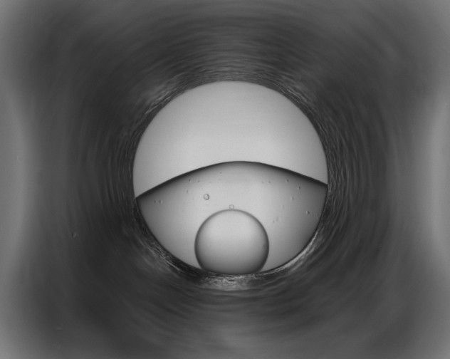 X0000086900094200704160956