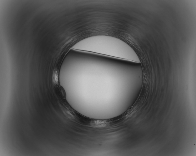 X0000086900095200704160956