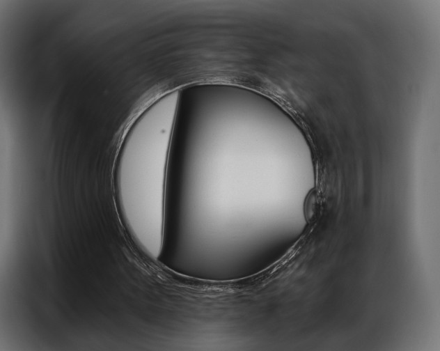 X0000086900099200704160956