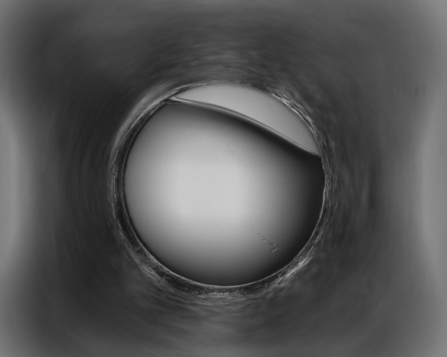 X0000086900101200704160956