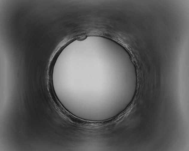 X0000086900102200704160956