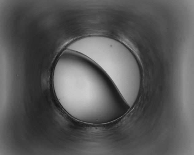 X0000086900107200704160955