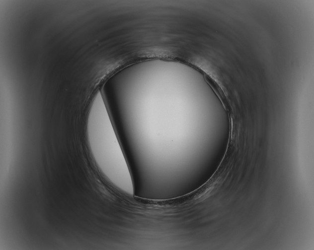 X0000086900109200704160955