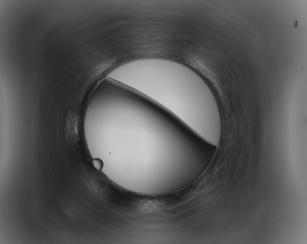 X0000086900115200704160955