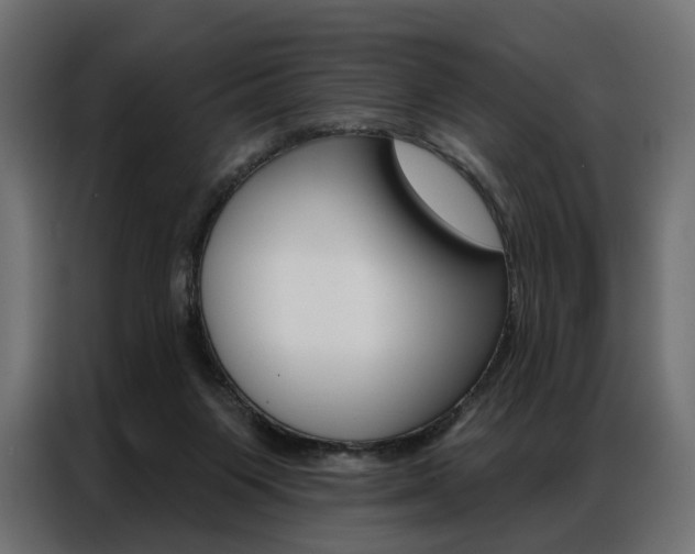 X0000086900119200704160955