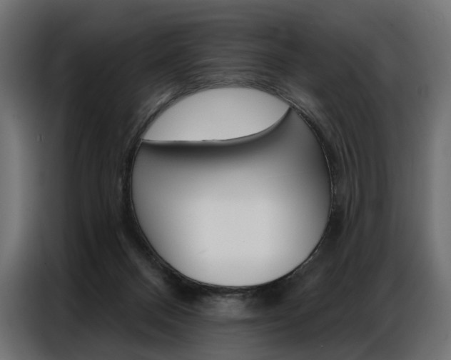 X0000086900120200704160955