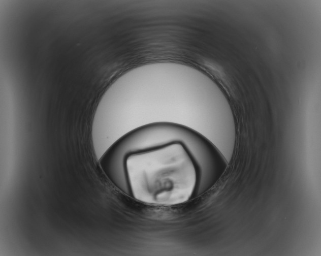X0000086900121200704160955