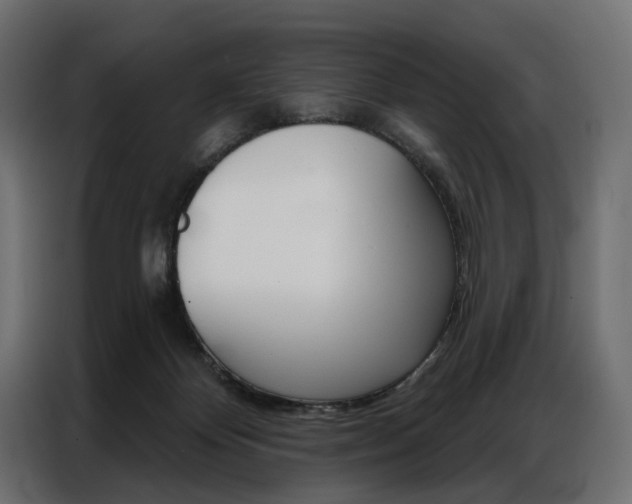 X0000086900124200704160955