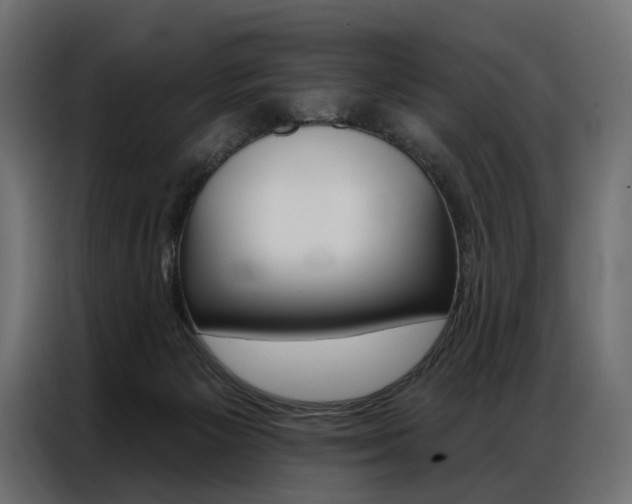 X0000086900125200704160955