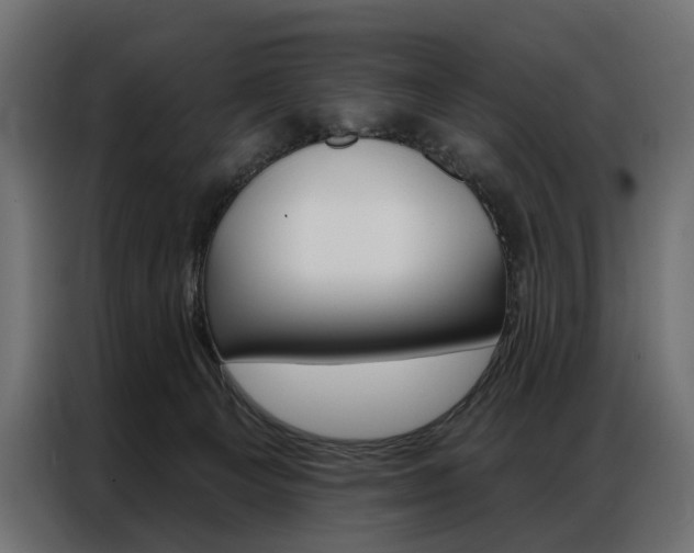 X0000086900129200704160955