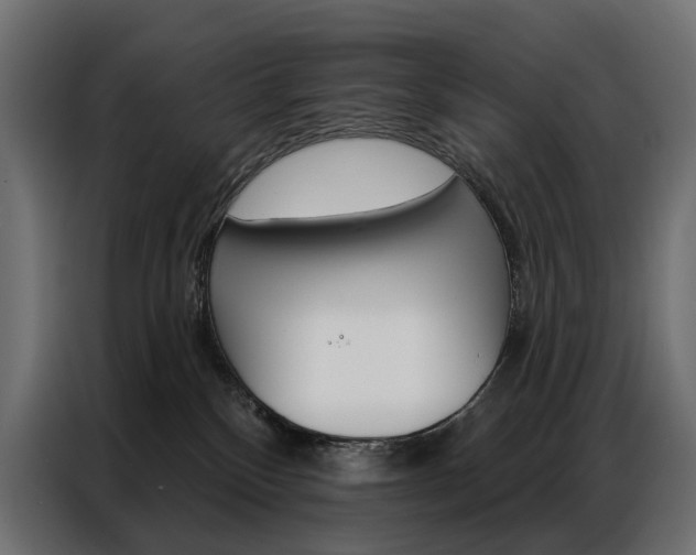 X0000086900136200704160955