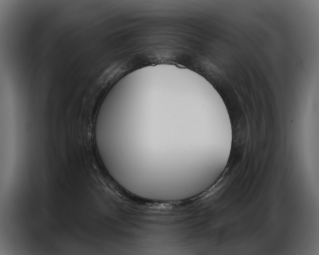 X0000086900140200704160955