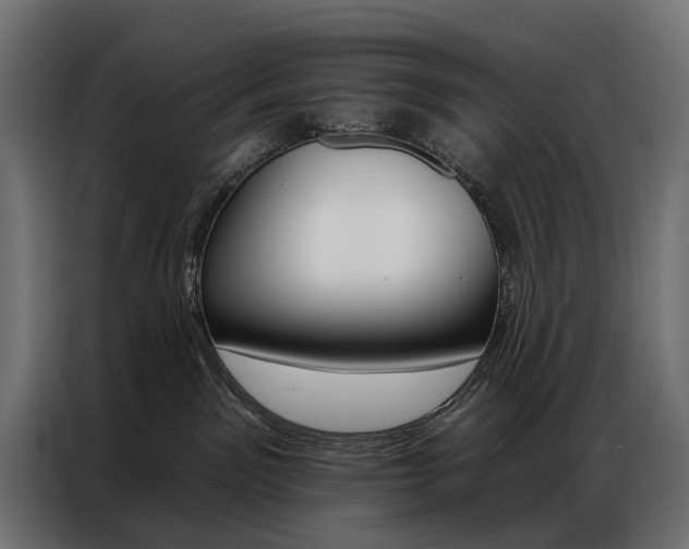 X0000086900141200704160955