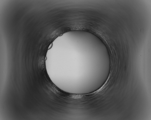 X0000086900144200704160955