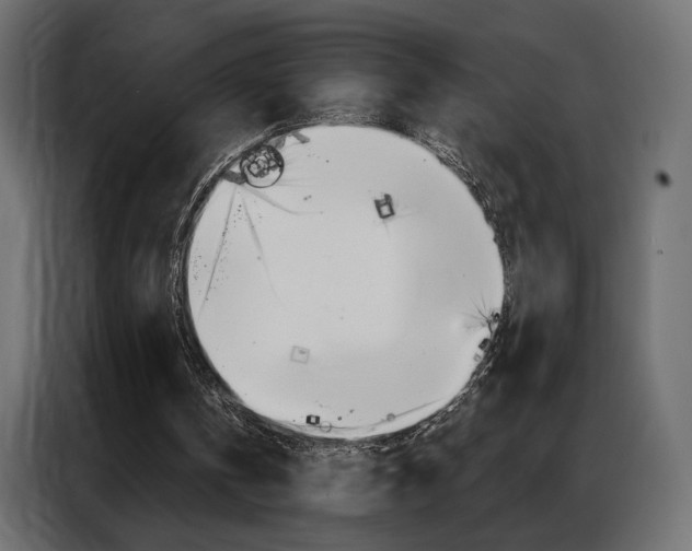 X0000086900146200704160954