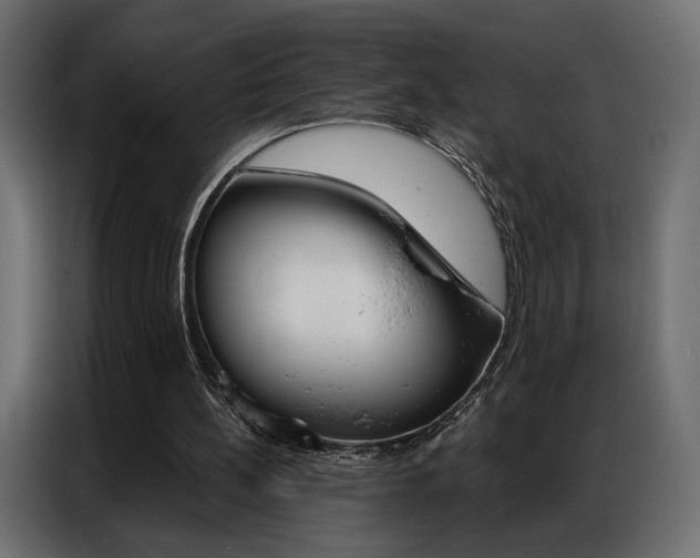 X0000086900148200704160954