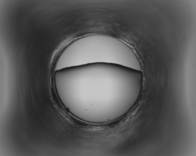 X0000086900149200704160954