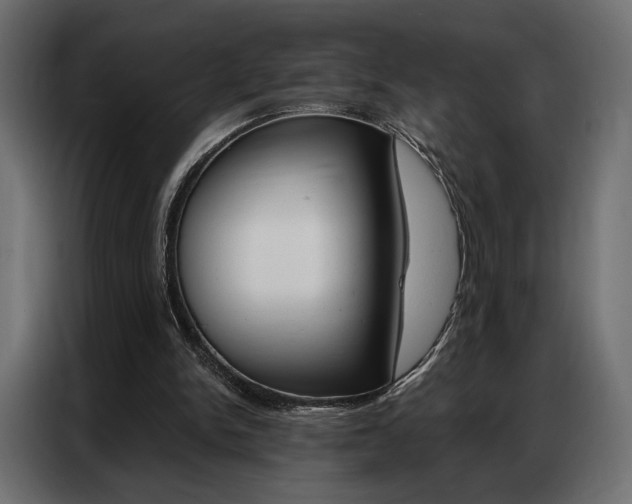 X0000086900150200704160954