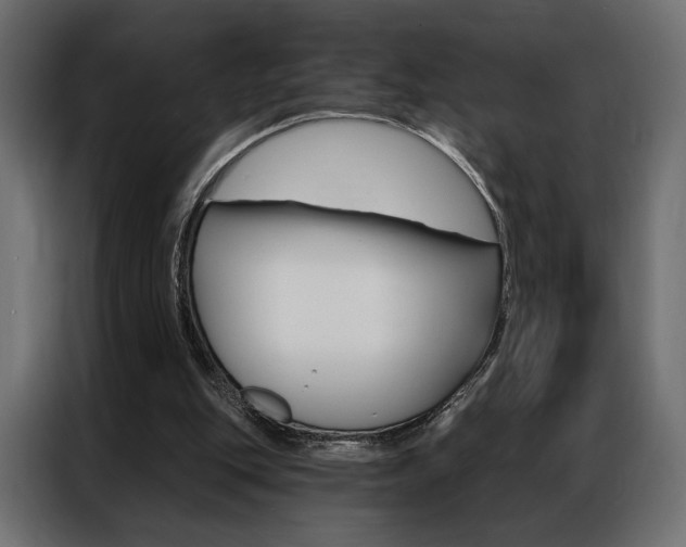 X0000086900151200704160954