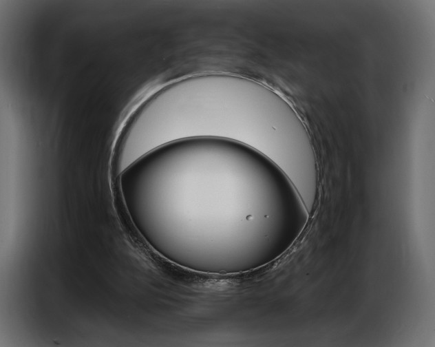 X0000086900152200704160954