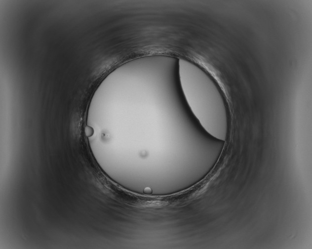 X0000086900153200704160954